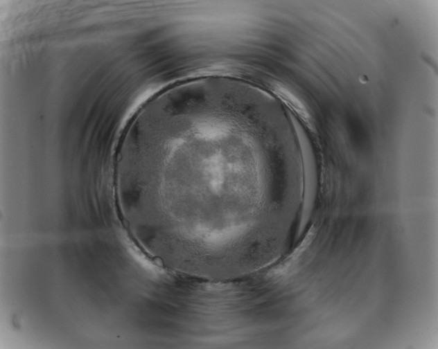 X0000097780800200803141806