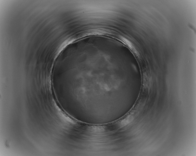 X0000097780802200803141806