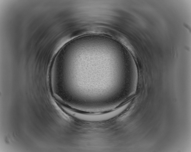 X0000097780803200803141806