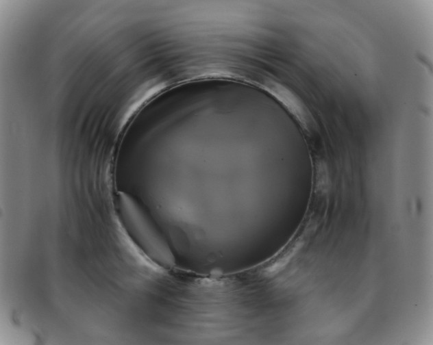 X0000097780806200803141806