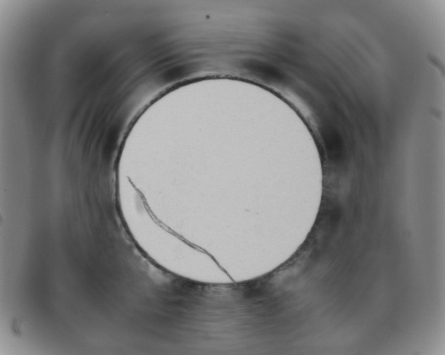 X0000097780807200803141806