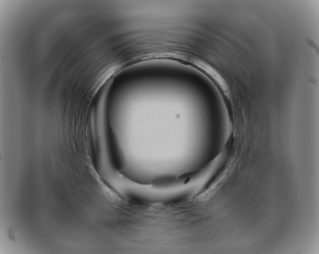 X0000097780809200803141806