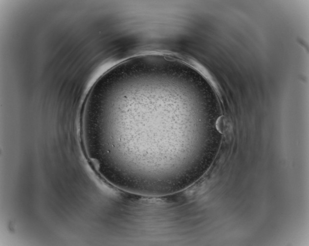 X0000097780811200803141806