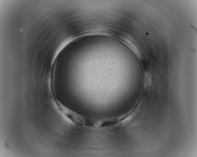 X0000097780812200803141806