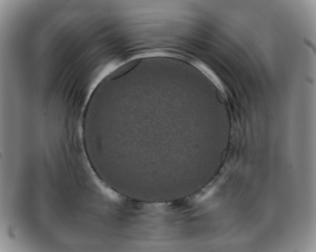 X0000097780813200803141806