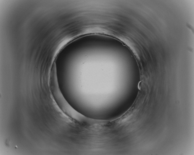 X0000097780815200803141806