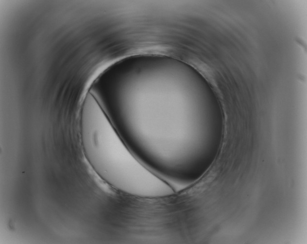 X0000097780816200803141806