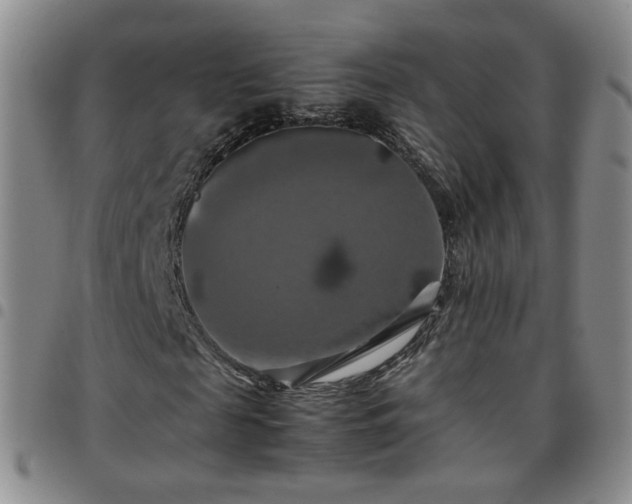 X0000097780817200803141806