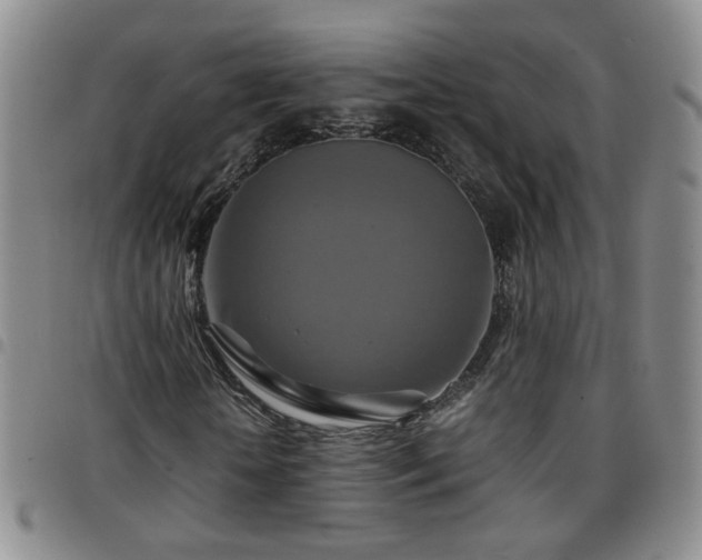 X0000097780818200803141806