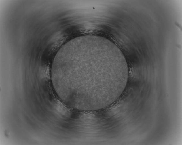 X0000097780820200803141806