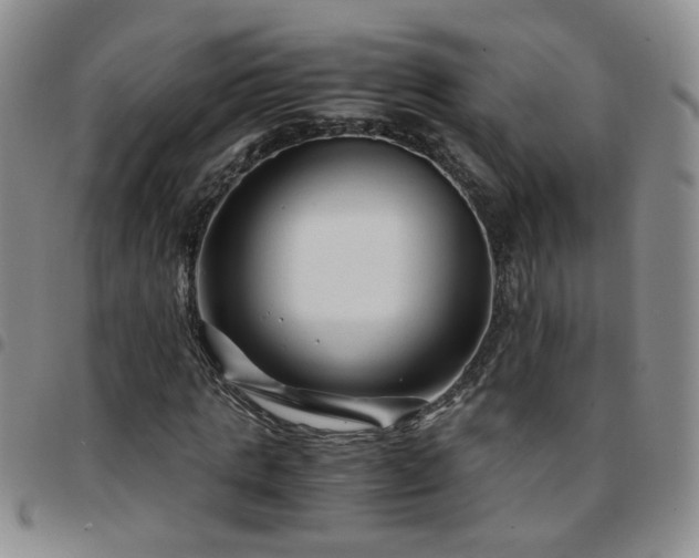 X0000097780821200803141806