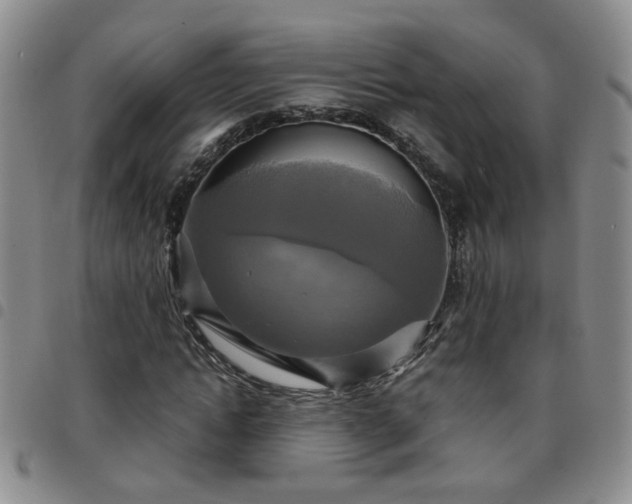 X0000097780822200803141806