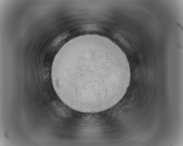 X0000097780824200803141806