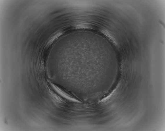 X0000097780825200803141806