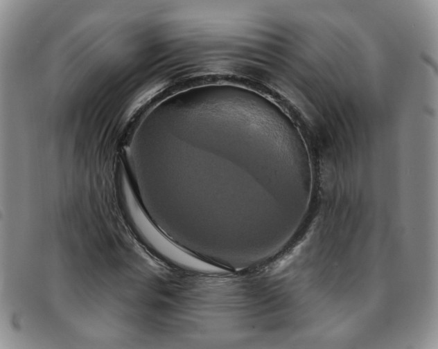 X0000097780826200803141806