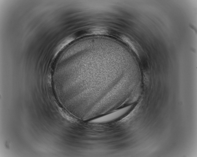 X0000097780827200803141806