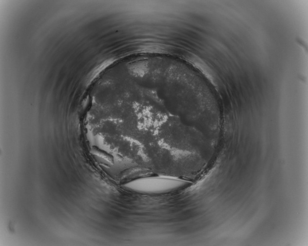 X0000097780829200803141806