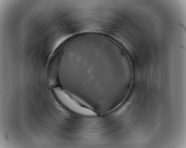 X0000097780830200803141806