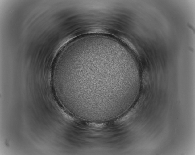 X0000097780831200803141806