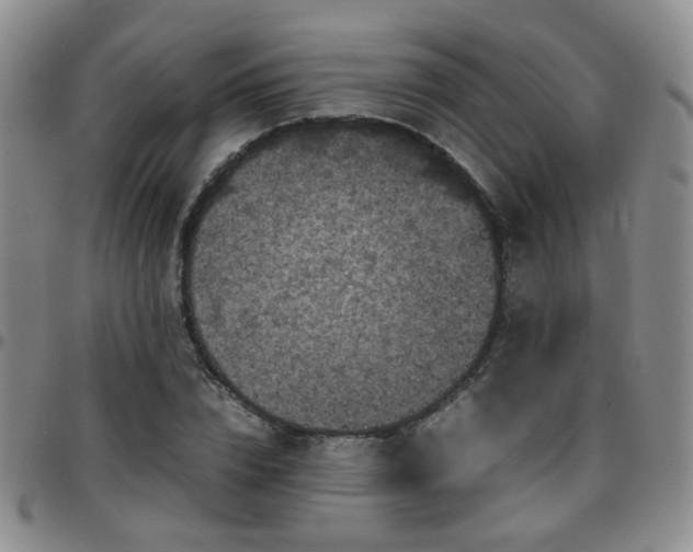 X0000097780832200803141806