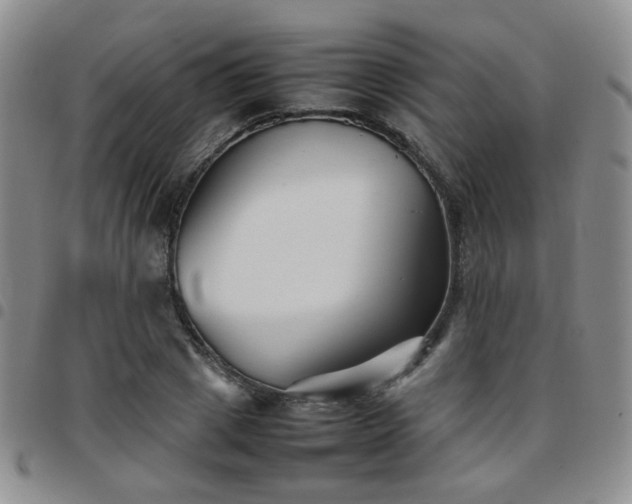 X0000097780833200803141806