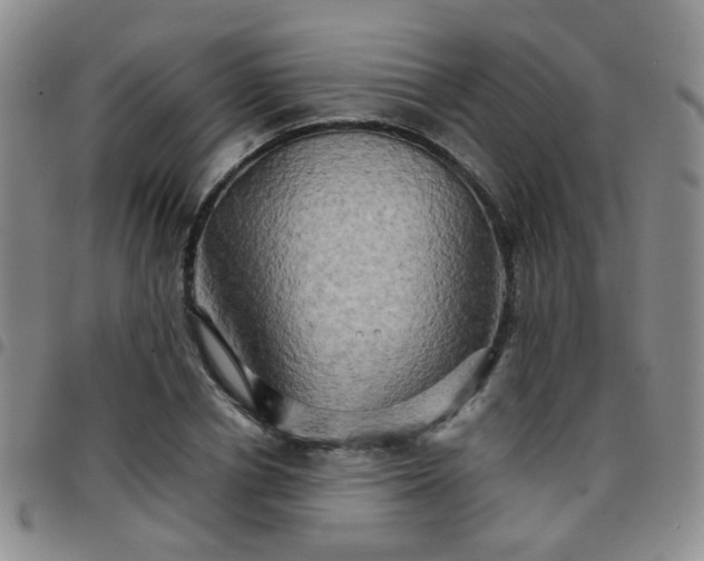 X0000097780834200803141806