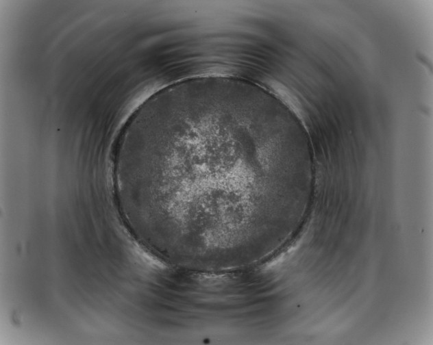 X0000097780835200803141806