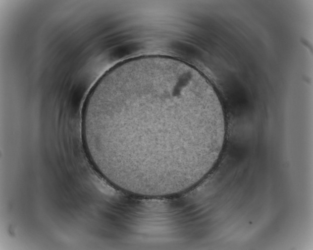 X0000097780836200803141806