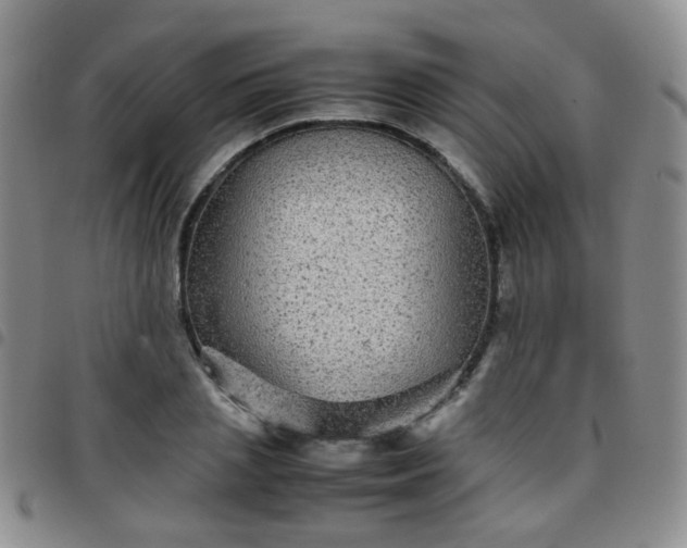 X0000097780837200803141806