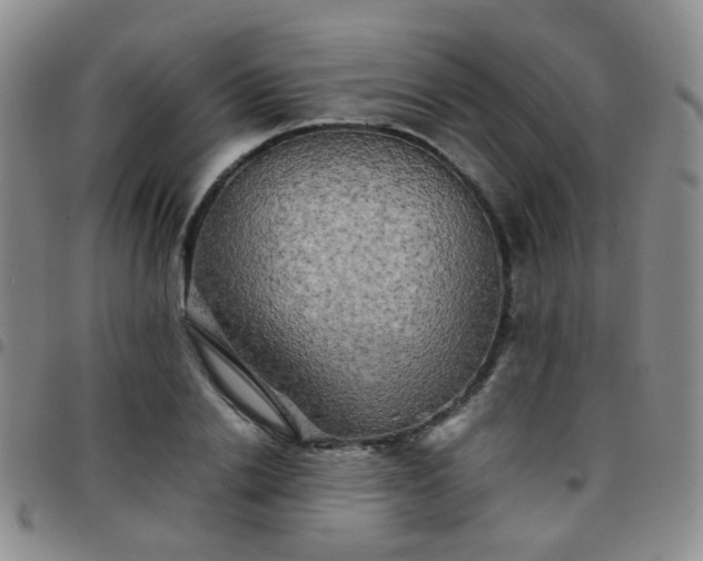 X0000097780838200803141806