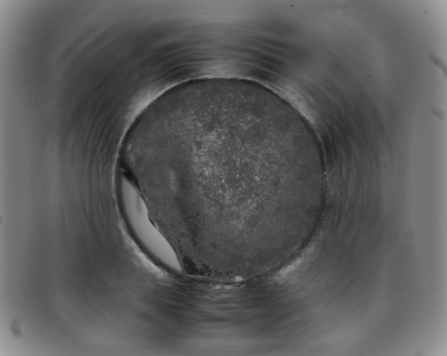 X0000097780839200803141806