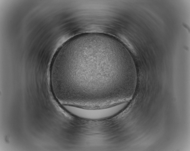 X0000097780840200803141806