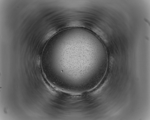 X0000097780841200803141806