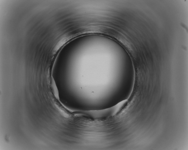 X0000097780842200803141806