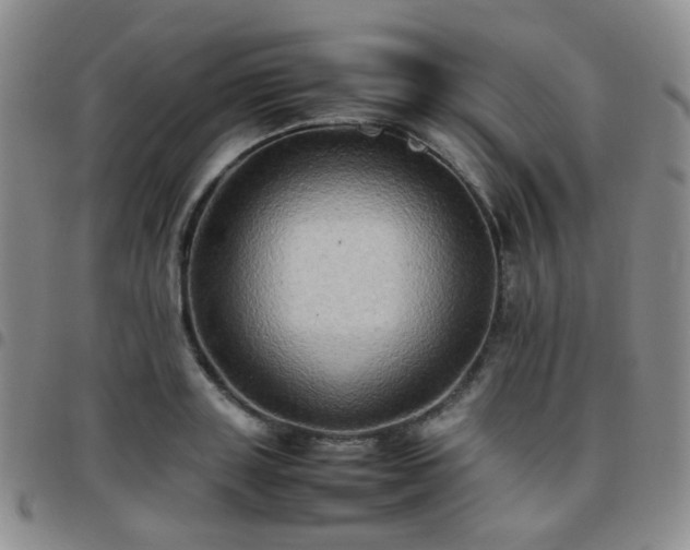 X0000097780843200803141806