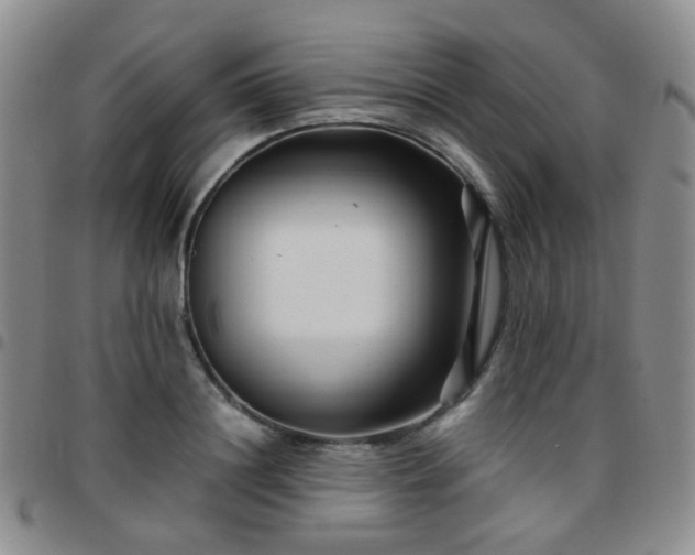 X0000097780844200803141806