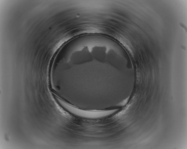 X0000097780845200803141806