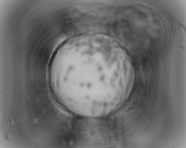 X0000097780848200803141806