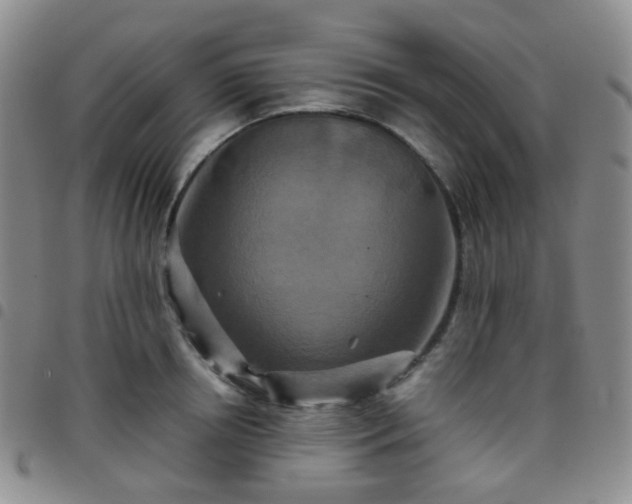 X0000097780850200803141806