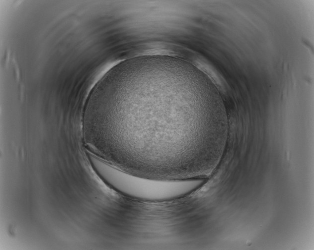 X0000097780852200803141806