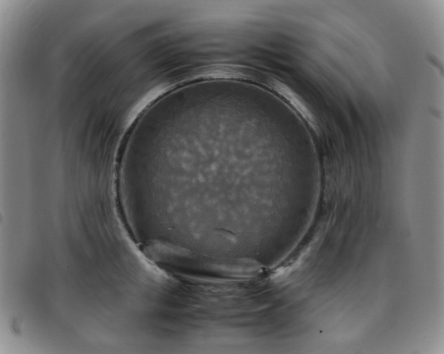 X0000097780853200803141806