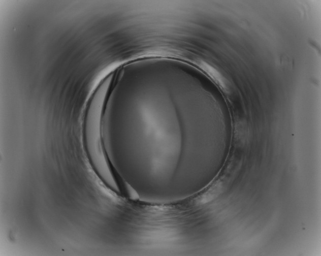 X0000097780854200803141806