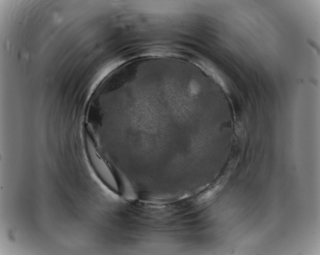 X0000097780855200803141806