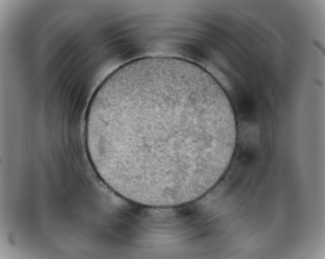 X0000097780856200803141806