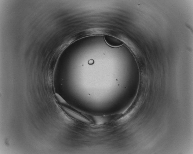 X0000097780857200803141806