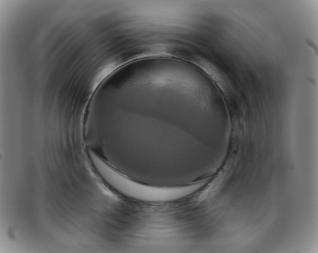 X0000097780858200803141806