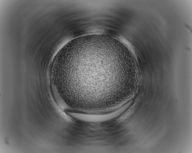 X0000097780859200803141806