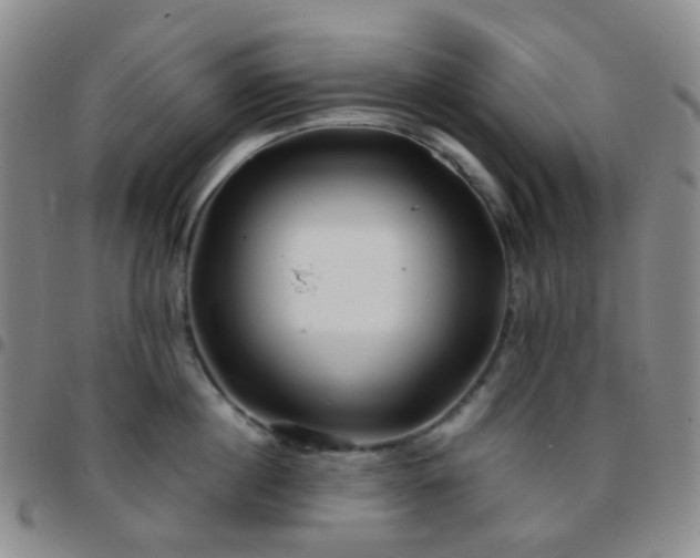 X0000097780860200803141806