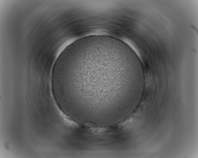 X0000097780861200803141806