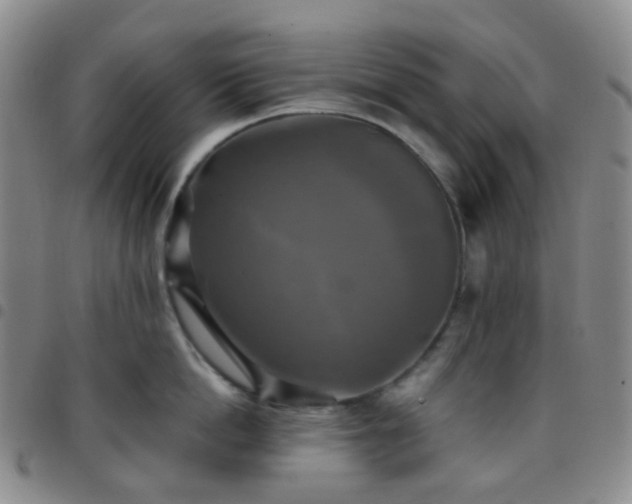 X0000097780862200803141806